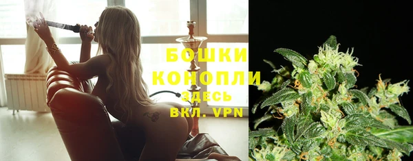 метадон Вяземский