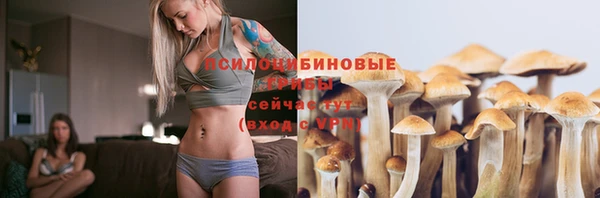 прущий лед Вязьма