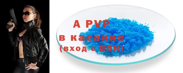 индика Сосновка
