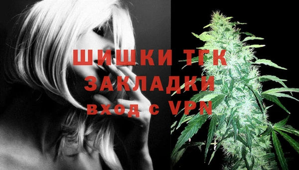шишки Вязники